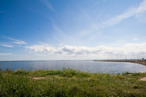 Orth Harbor