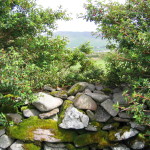 Somewhere at Dingle Peninsula