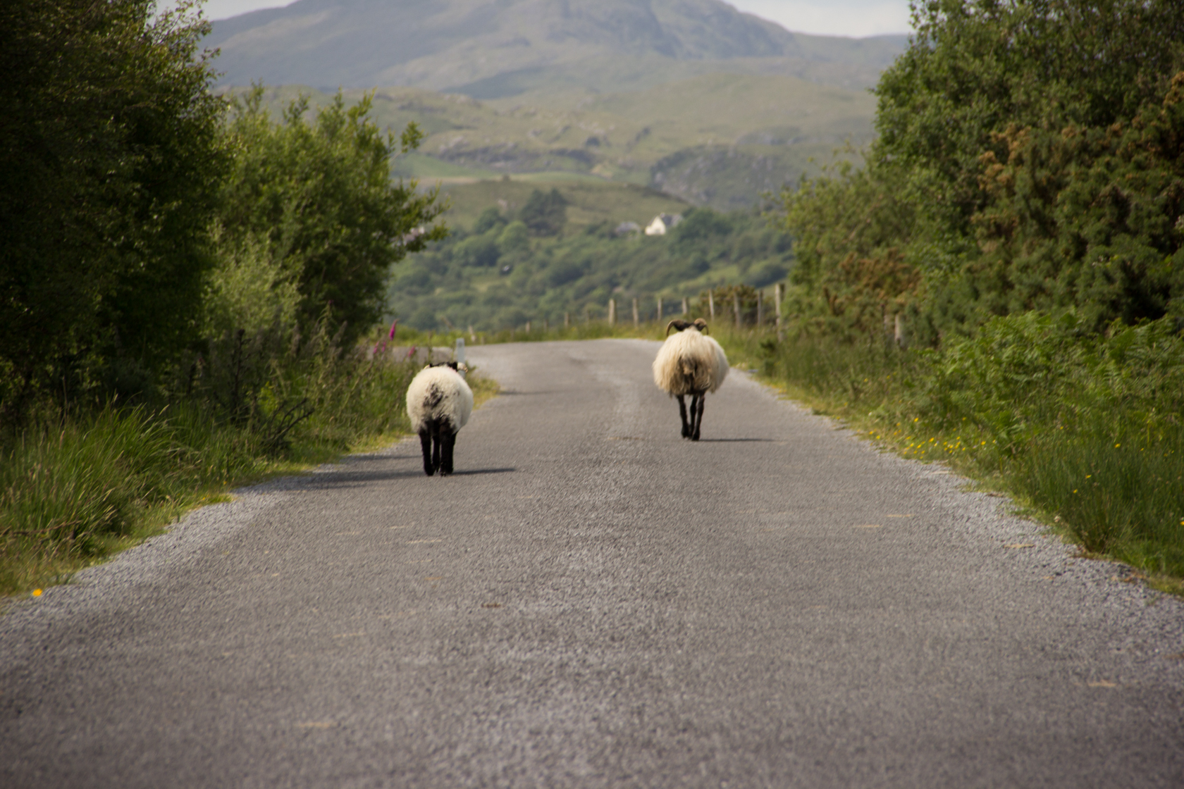 26th June, Oughterard  – Maam Cross