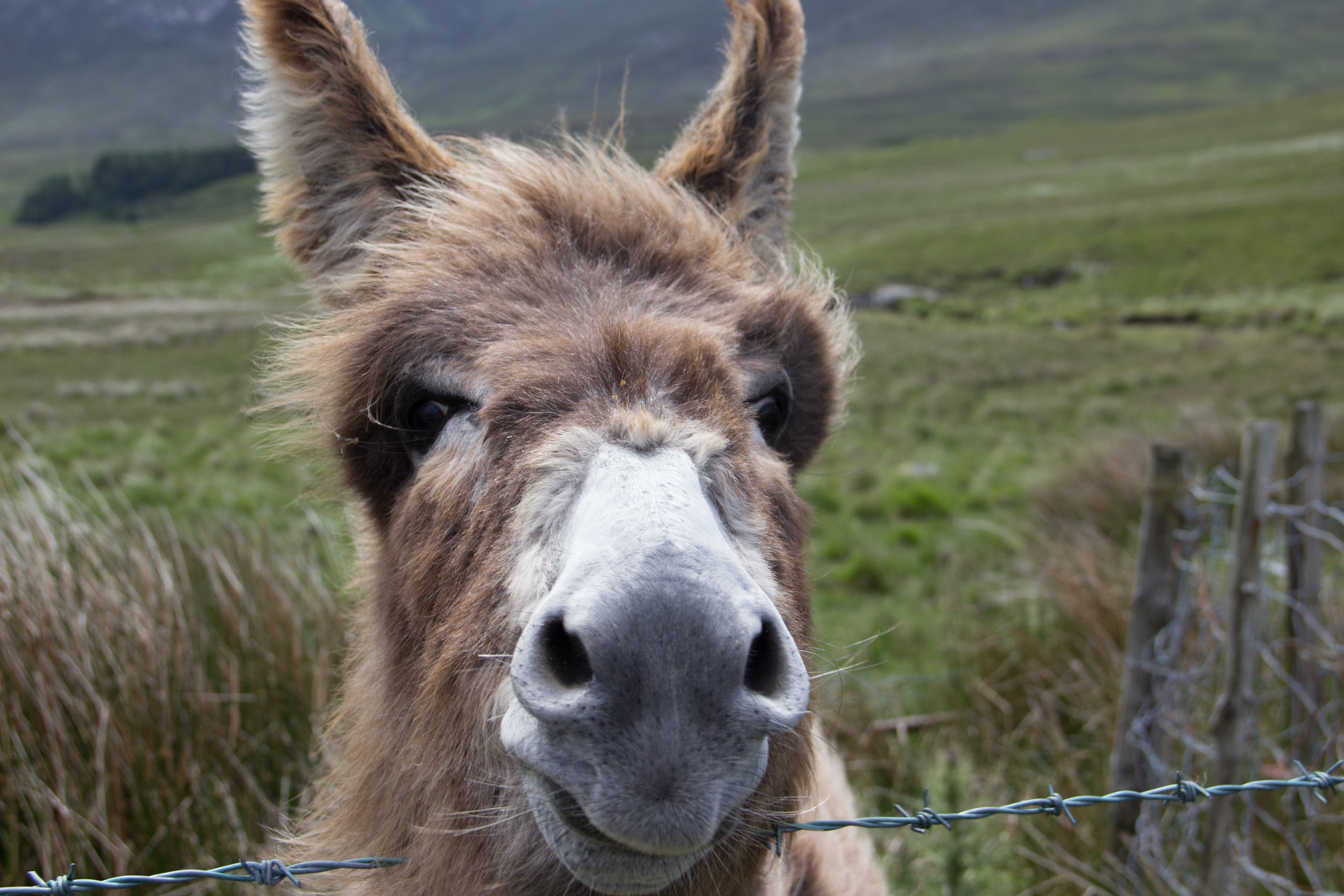 27th June 2013, Maam Valley – Lough Inagh