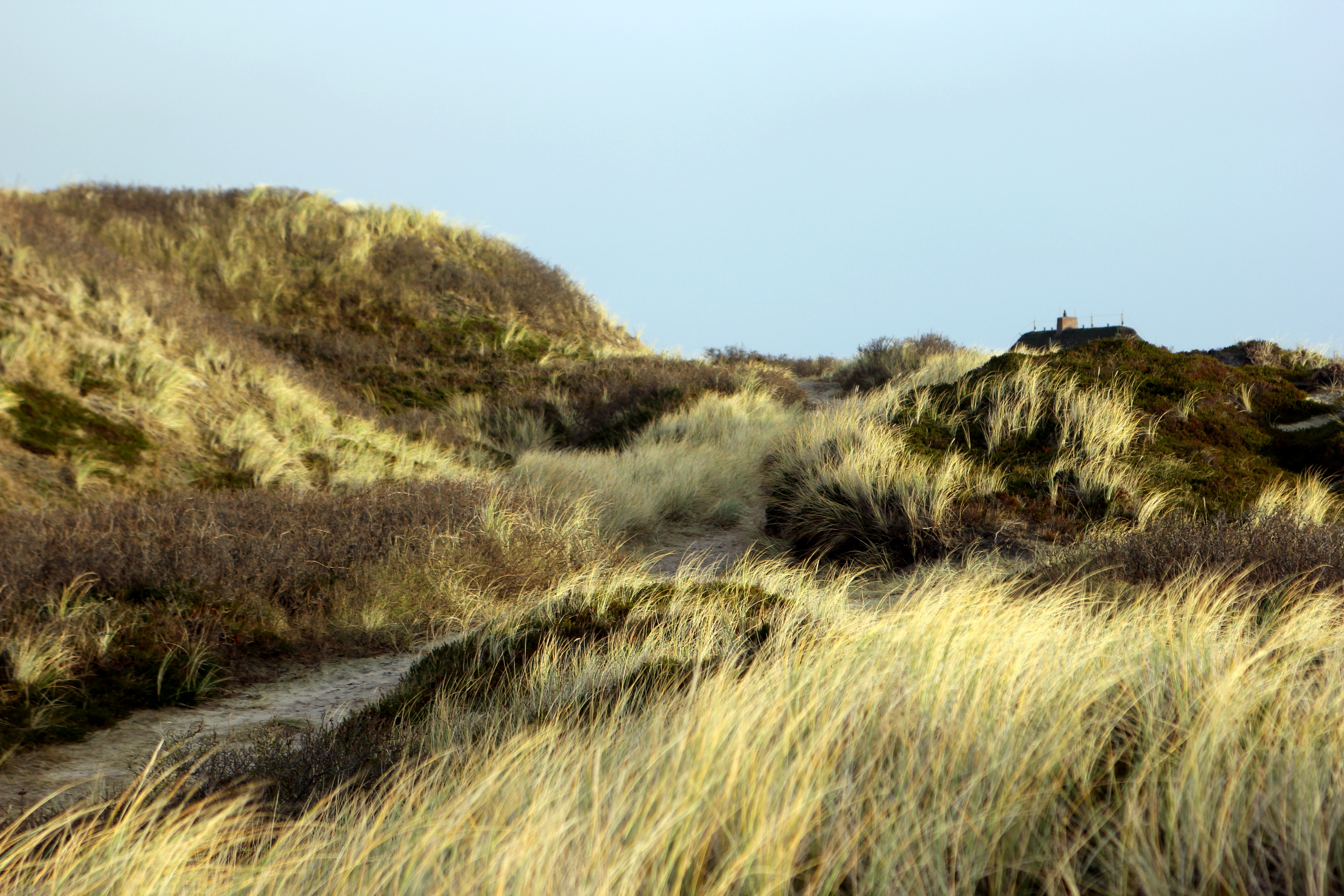 Sylt